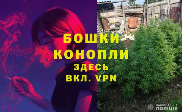 ешки Коряжма