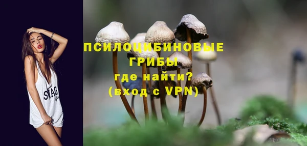 а пвп мука Корсаков