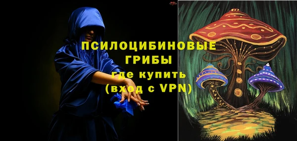 амф Костерёво