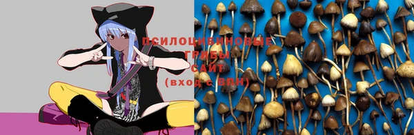 а пвп мука Корсаков