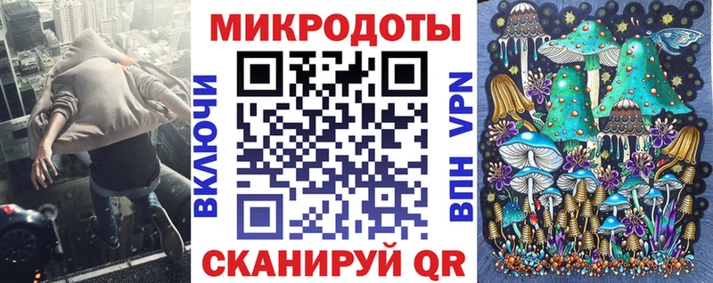 Купить закладки  Советск  Галлюциногенные грибы мицелий 