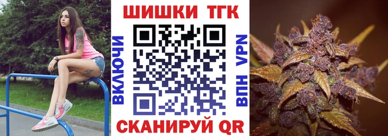Купить закладки  Советск  Бошки Шишки SATIVA & INDICA 